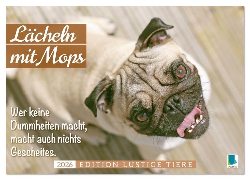 Lächeln mit Mops (Wandkalender 2026 DIN A4 quer) CALVENDO Monatskalender