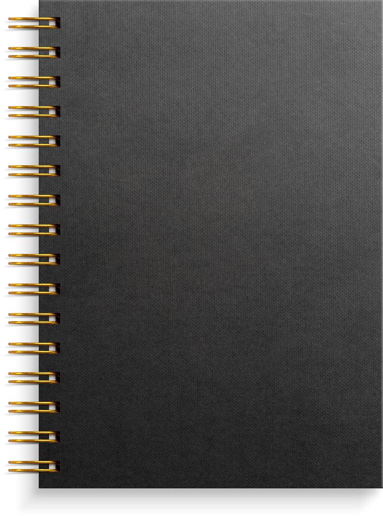 Burde Notizbuch A5 schwarz/gold