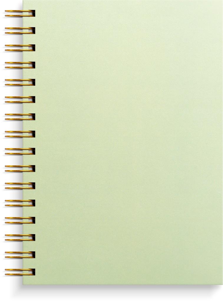 Burde Notizbuch A5 grün