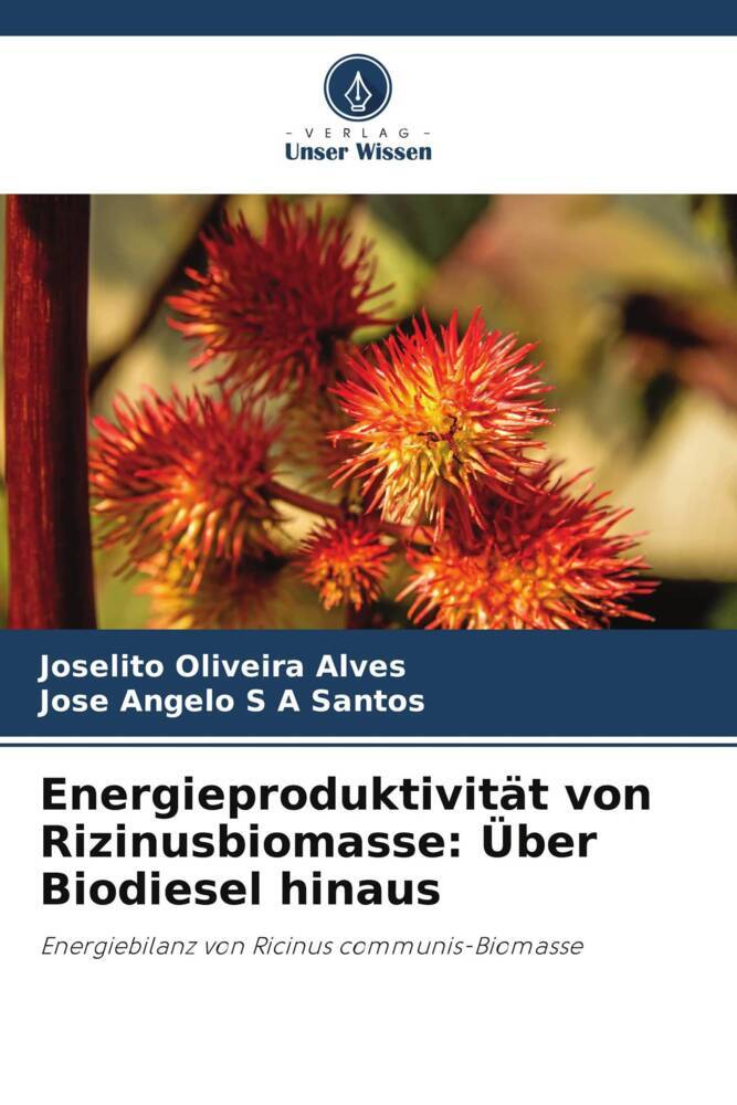 Energieproduktivität von Rizinusbiomasse: Über Biodiesel hinaus