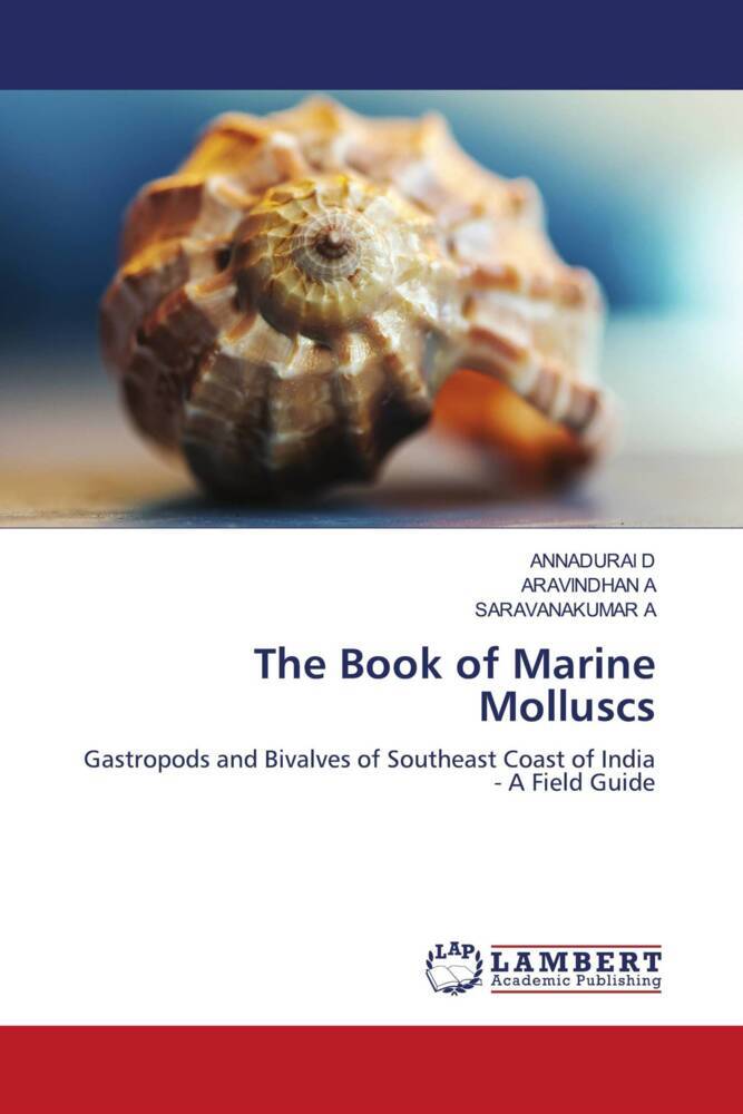 The Book of Marine Molluscs