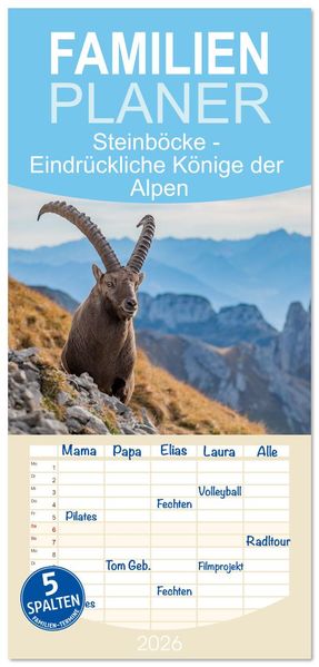 Familienplaner 2026 - Steinböcke - Eindrückliche Könige der Alpen mit 5 Spalten (Wandkalender 21 x 45 cm) CALVENDO