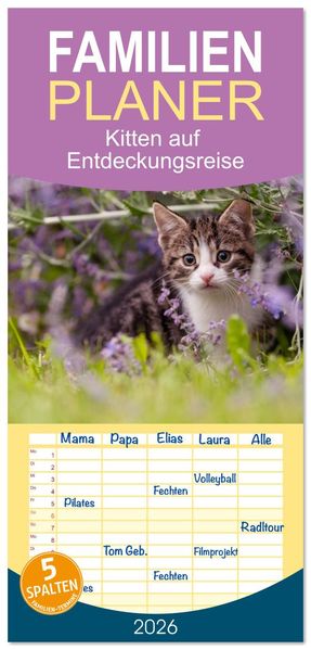 Familienplaner 2026 - Kitten auf Entdeckungsreise mit 5 Spalten (Wandkalender 21 x 45 cm) CALVENDO