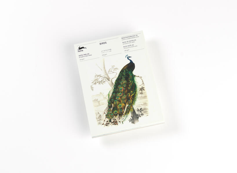 Birds