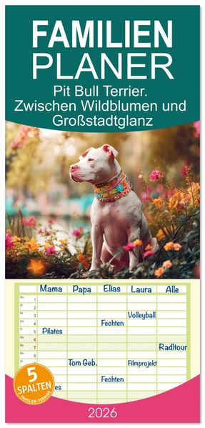 Familienplaner 2026 - Pit Bull Terrier. Zwischen Wildblumen und Großstadtglanz mit 5 Spalten (Wandkalender 21 x 45 cm) CALVENDO