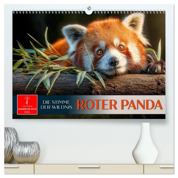 Roter Panda - die Stimme der Wildnis (hochwertiger Premium Wandkalender 2026 DIN A2 quer) Kunstdruck in Hochglanz