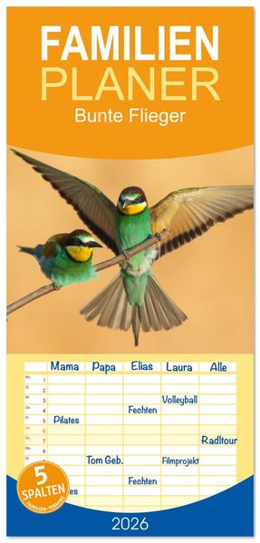 Familienplaner 2026 - Bunte Flieger mit 5 Spalten (Wandkalender 21 x 45 cm) CALVENDO