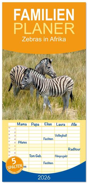 Familienplaner 2026 - Zebras in Afrika mit 5 Spalten (Wandkalender 21 x 45 cm) CALVENDO