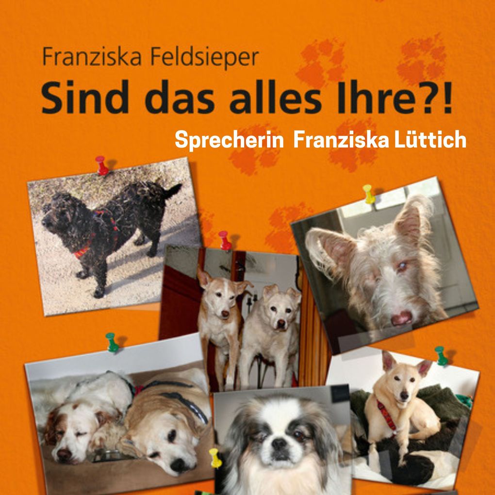 Sind das alles Ihre?!
