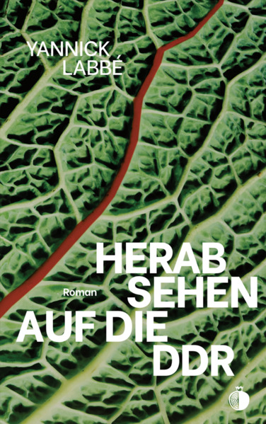 Herabsehen auf die DDR