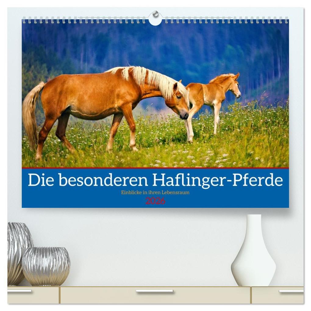 Die besonderen Haflinger-Pferde (hochwertiger Premium Wandkalender 2026 DIN A2 quer) Kunstdruck in Hochglanz