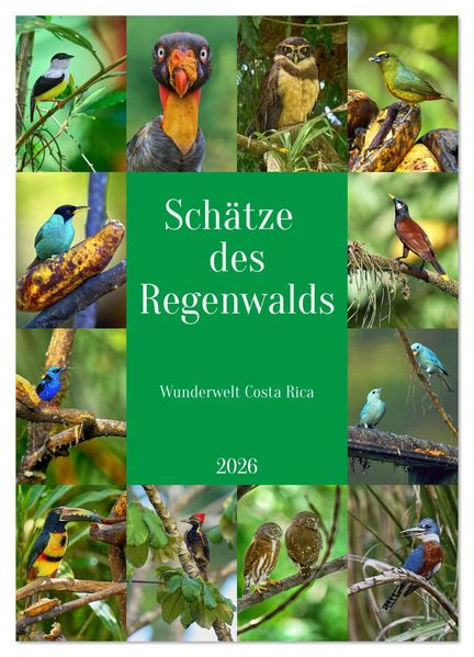 Schätze des Regenwalds (Wandkalender 2026 DIN A4 hoch) CALVENDO Monatskalender