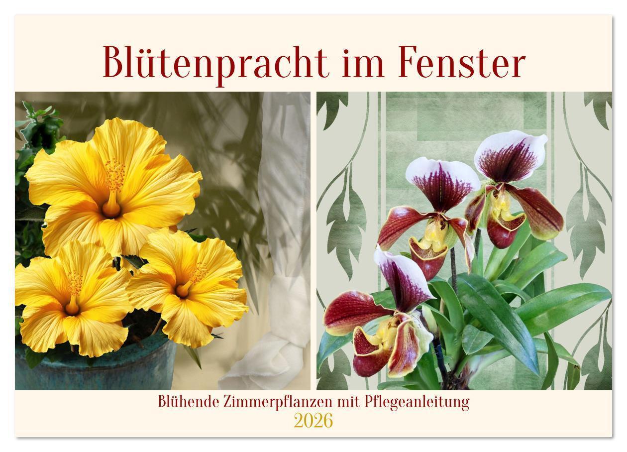 Blütenpracht am Fenster (Wandkalender 2026 DIN A4 quer) CALVENDO Monatskalender