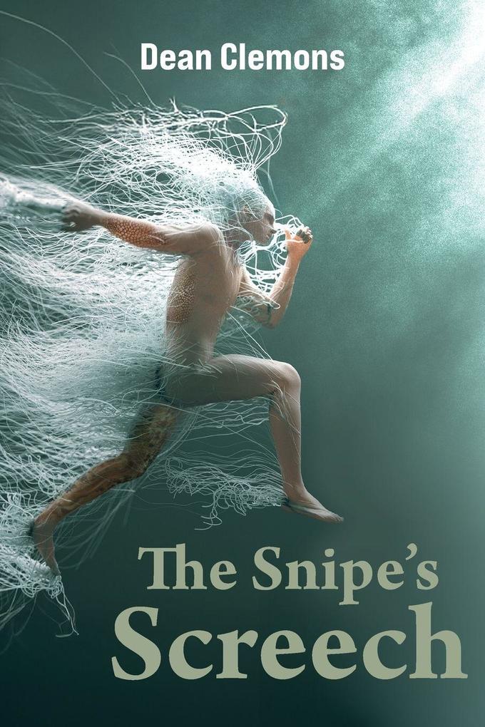 The Snipe's Screech