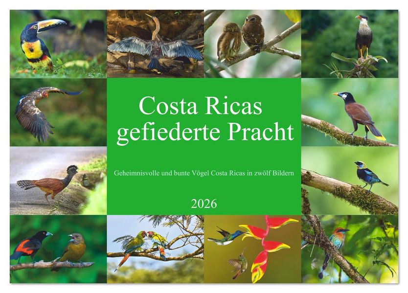 Costa Ricas gefiederte Pracht (Tischkalender 2026 DIN A5 quer) CALVENDO Monatskalender