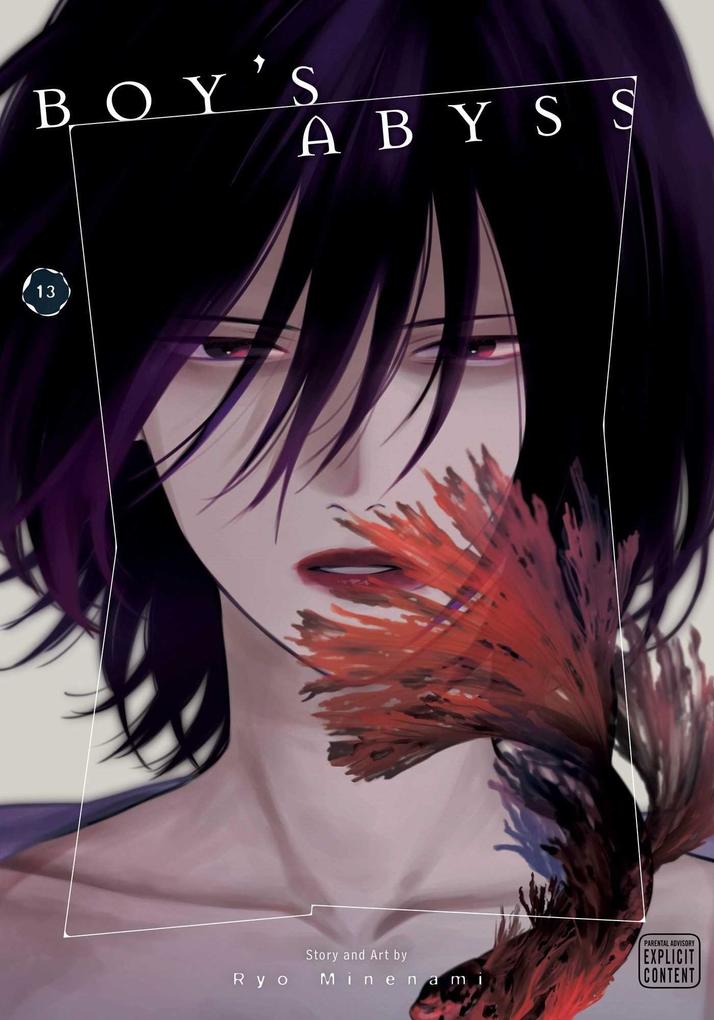 Viz Media Boy's Abyss Vol. 13