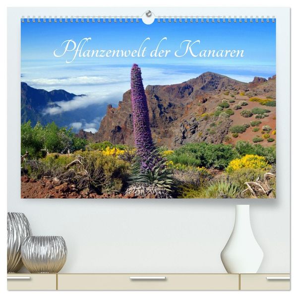 Pflanzenwelt Kanaren (hochwertiger Premium Wandkalender 2026 DIN A2 quer) Kunstdruck in Hochglanz