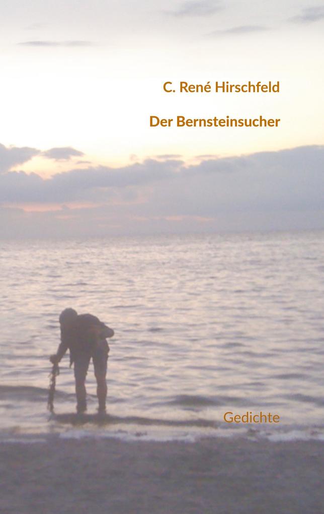 Der Bernsteinsucher