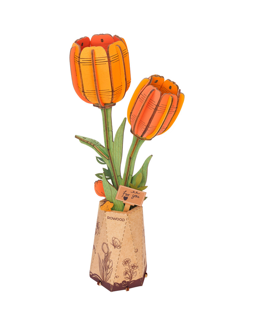 Orange Tulip - Rowood
