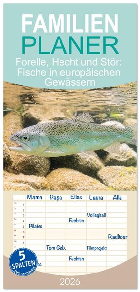 Familienplaner 2026 - Forelle Hecht und Stör: Fische in europäischen Gewässern mit 5 Spalten (Wandkalender 21 x 45 cm) CALVENDO