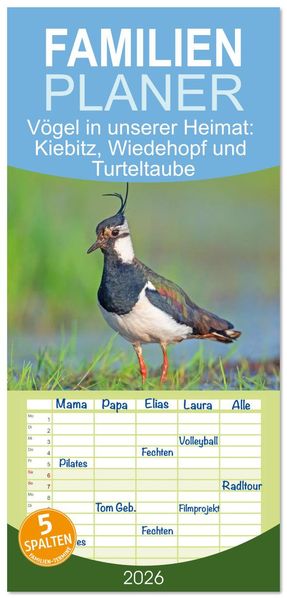 Familienplaner 2026 - Vögel in unserer Heimat: Kiebitz Wiedehopf und Turteltaube mit 5 Spalten (Wandkalender 21 x 45 cm) CALVENDO