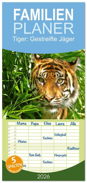 Familienplaner 2026 - Tiger: Gestreifte Jäger mit 5 Spalten (Wandkalender 21 x 45 cm) CALVENDO