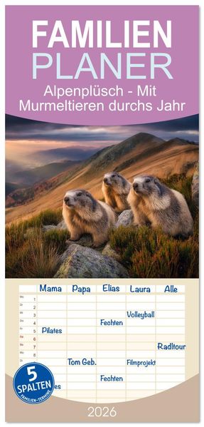 Familienplaner 2026 - Alpenplüsch - Mit Murmeltieren durchs Jahr mit 5 Spalten (Wandkalender 21 x 45 cm) CALVENDO