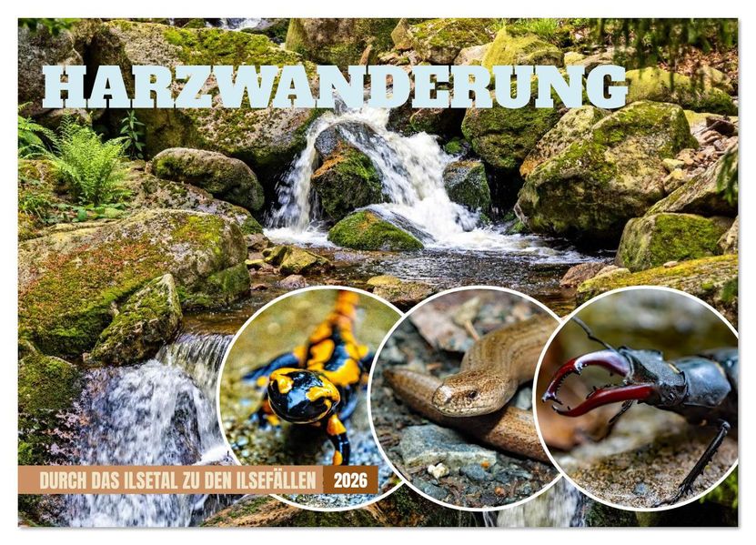 Harzwanderung-Durch das Ilsetal zu den Ilsefällen (Wandkalender 2026 DIN A2 quer) CALVENDO Monatskalender