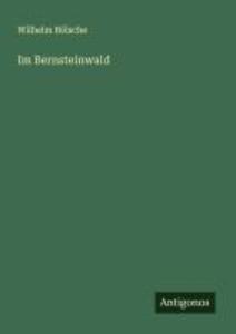 Im Bernsteinwald
