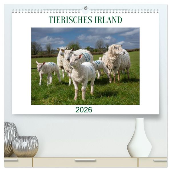 Irland erleben - Wo Schafe Pferde und Kühe das Landschaftsbild prägen (hochwertiger Premium Wandkalender 2026 DIN A2 quer) Kunstdruck in Hochglanz