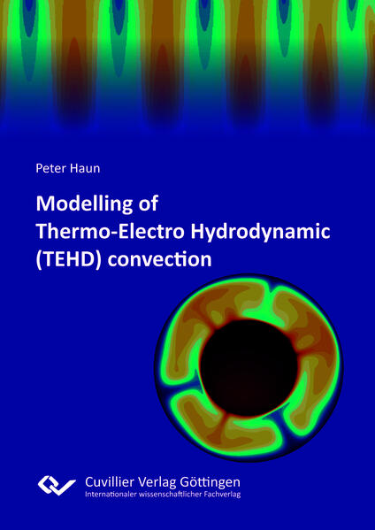 Modelling of Thermo-Electro Hydrodynamic (TEHD) convection