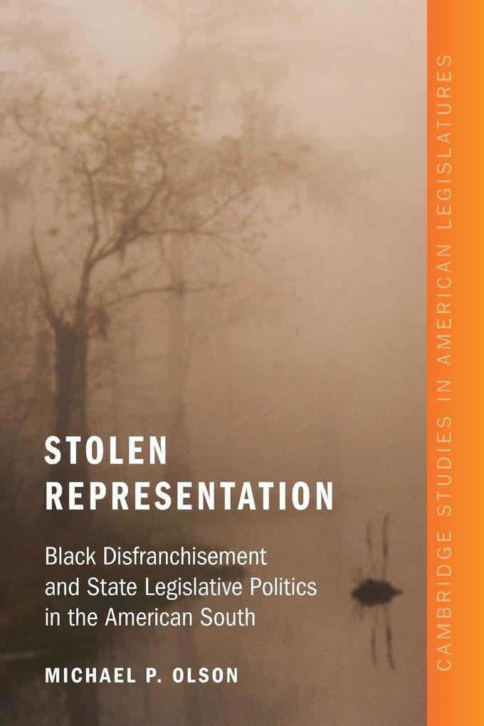 Stolen Representation