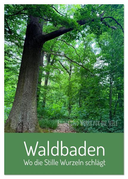 Waldbaden - Wo die Stille Wurzeln schlägt (Tischkalender 2026 DIN A5 hoch) CALVENDO Monatskalender