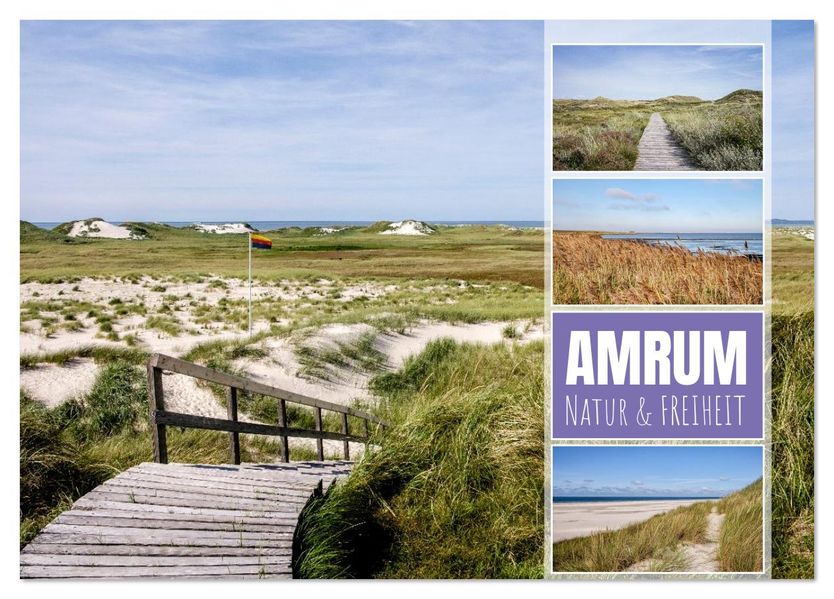 Amrum: Natur und Freiheit (Tischkalender 2026 DIN A5 quer) CALVENDO Monatskalender