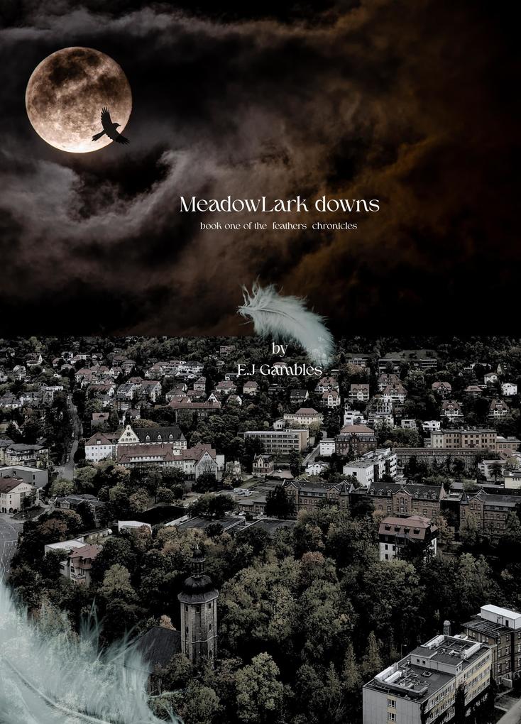 Meadowlark Downs (Feathers Series #1)
