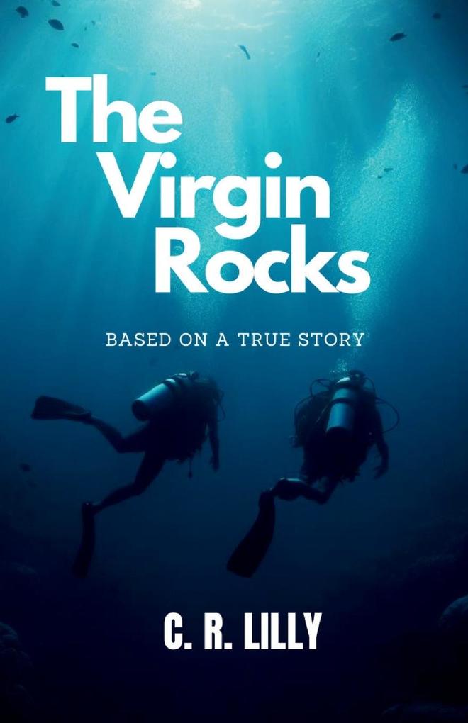 The Virgin Rocks
