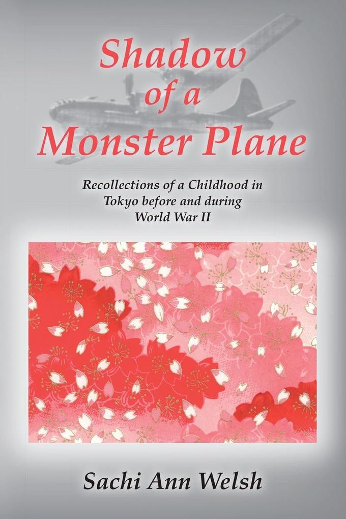 Shadow of a Monster Plane