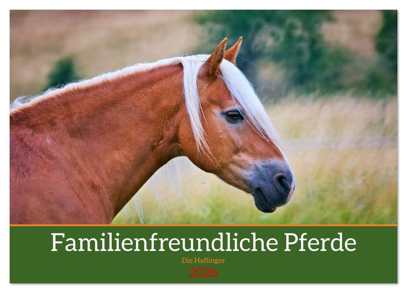 Familienfreundliche Pferde (Wandkalender 2026 DIN A3 quer) CALVENDO Monatskalender
