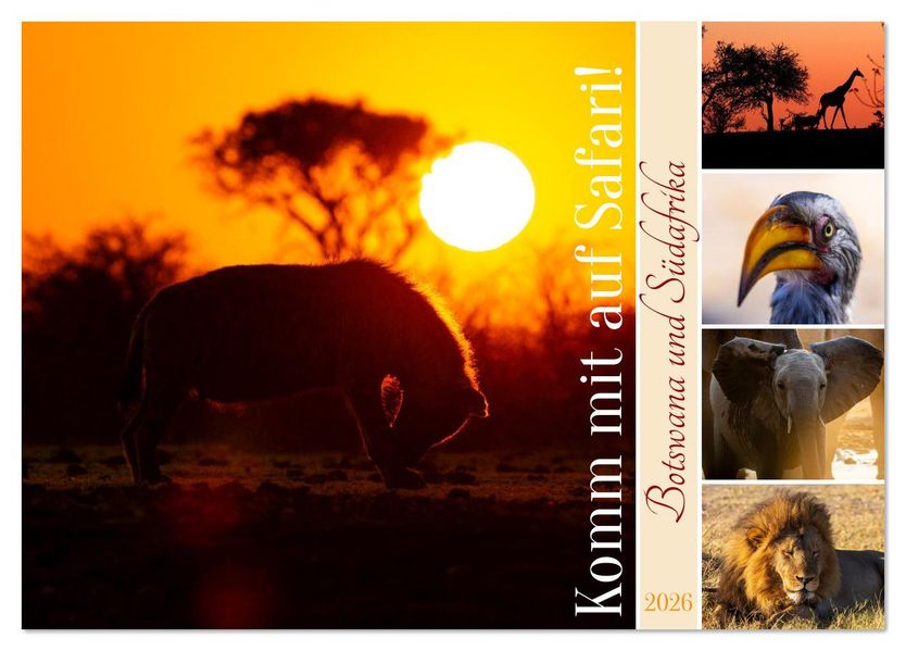 Komm mit auf Safari! Botswana und Südafrika (Tischkalender 2026 DIN A5 quer) CALVENDO Monatskalender