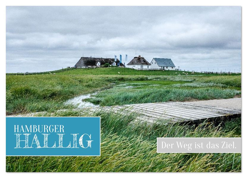Hamburger Hallig - Der Weg ist das Ziel (Wandkalender 2026 DIN A3 quer) CALVENDO Monatskalender