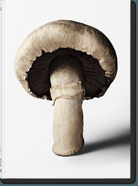 The Gourmand's Mushroom