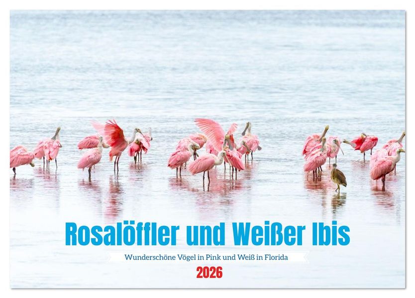 Rosalöffler und weißer Ibis (Tischkalender 2026 DIN A5 quer) CALVENDO Monatskalender