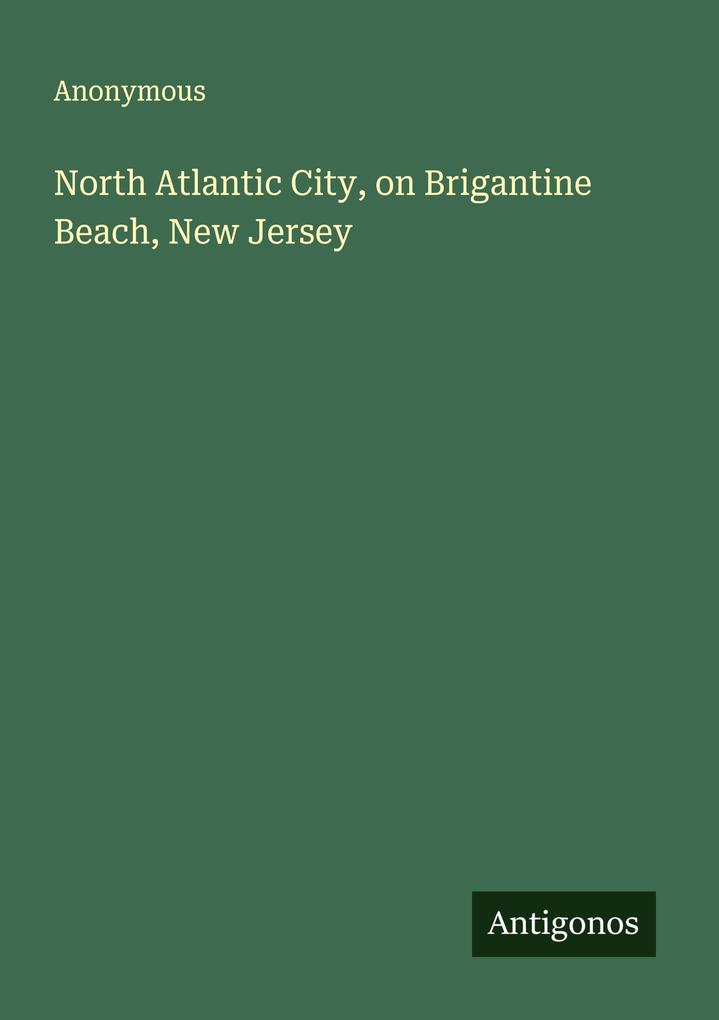 North Atlantic City on Brigantine Beach New Jersey