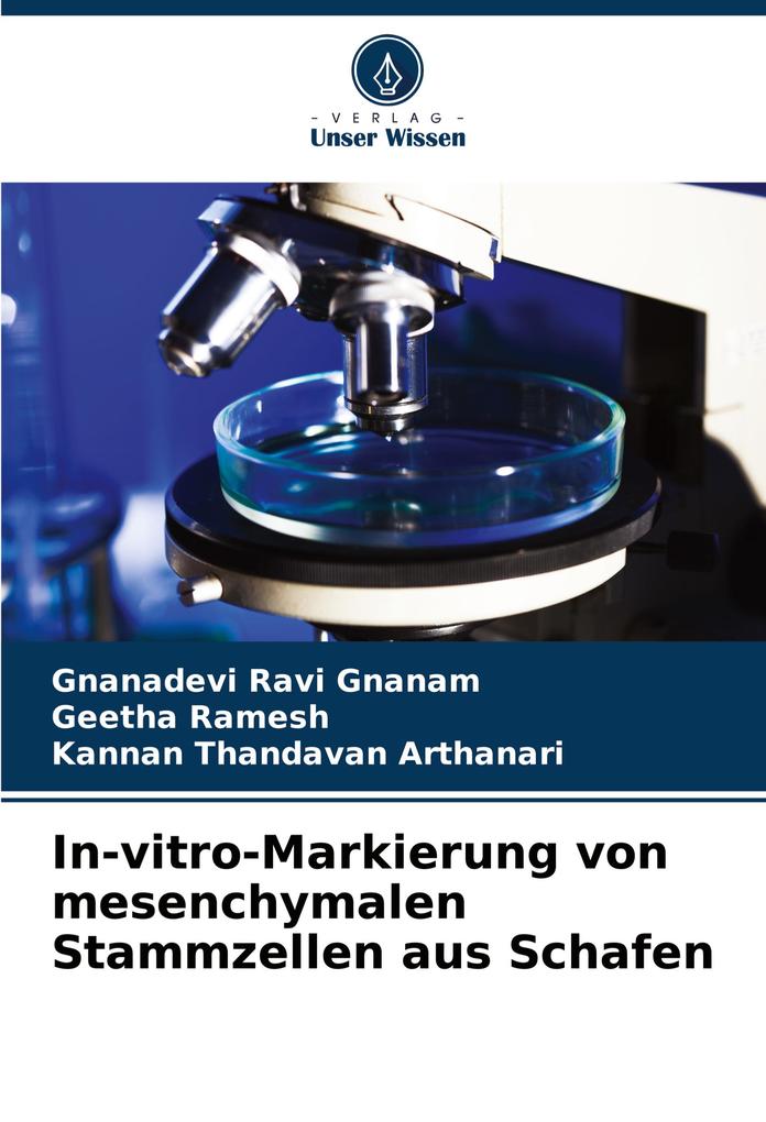 In-vitro-Markierung von mesenchymalen Stammzellen aus Schafen