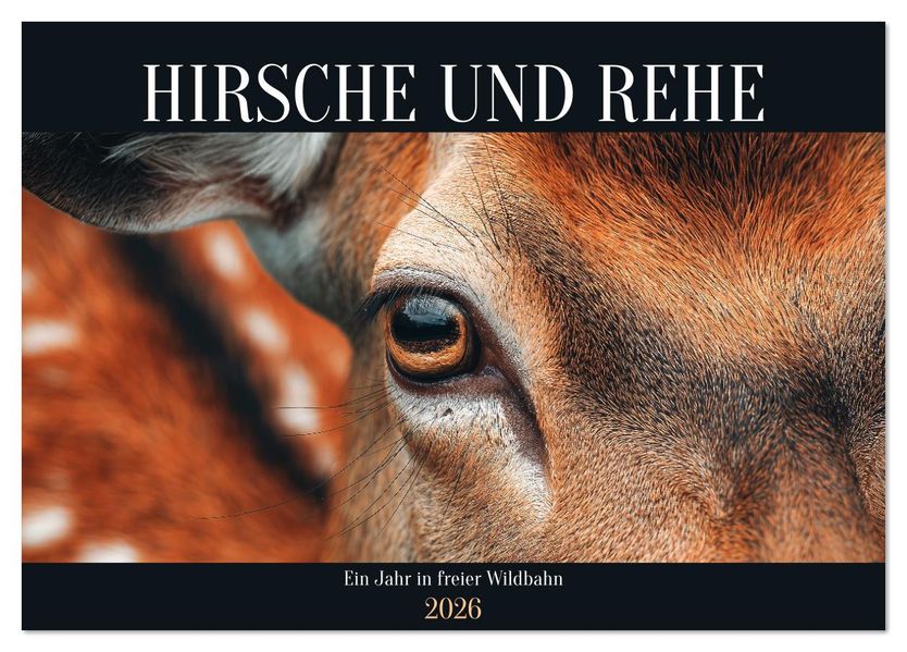 HIRSCHE UND REHE - Ein Jahr in freier Wildbahn (Tischkalender 2026 DIN A5 quer) CALVENDO Monatskalender
