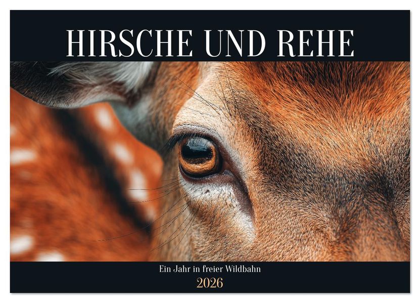 HIRSCHE UND REHE - Ein Jahr in freier Wildbahn (Wandkalender 2026 DIN A4 quer) CALVENDO Monatskalender