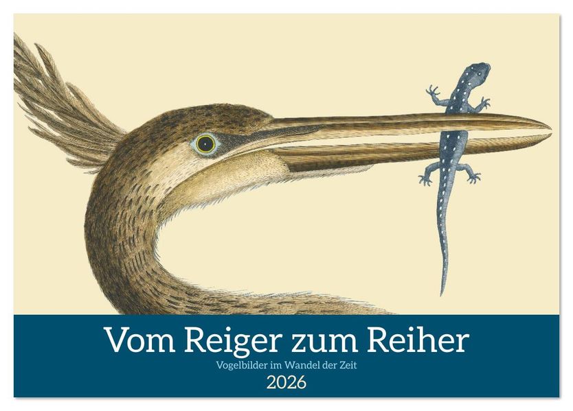 Vom Reiger zum Reiher (Tischkalender 2026 DIN A5 quer) CALVENDO Monatskalender