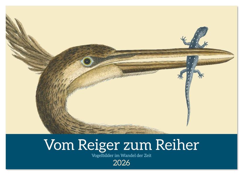 Vom Reiger zum Reiher (Wandkalender 2026 DIN A4 quer) CALVENDO Monatskalender