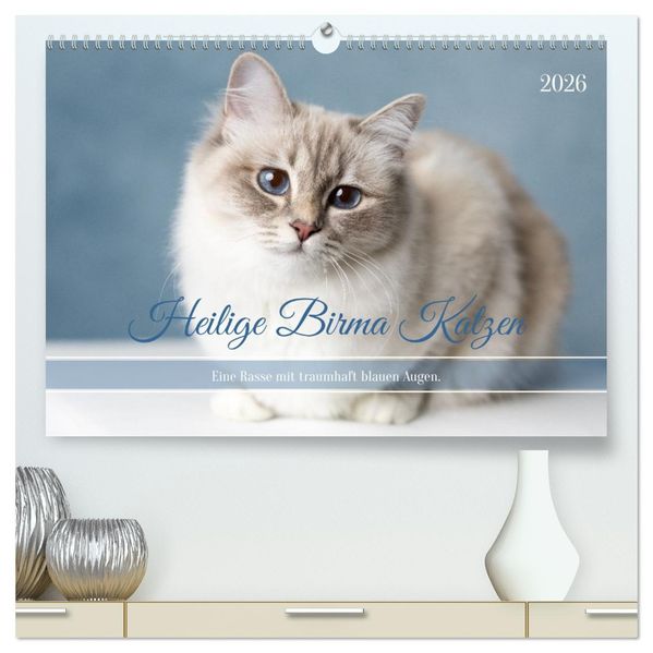Heilige Birma Katzen - Eine Rasse mit traumhaft blauen Augen. (hochwertiger Premium Wandkalender 2026 DIN A2 quer) Kunstdruck in Hochglanz