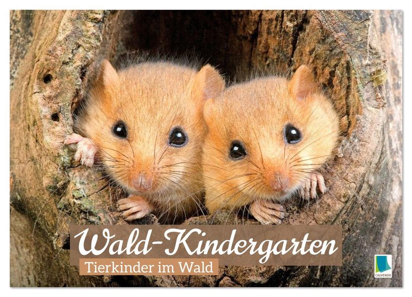 Wald-Kindergarten: Tierkinder im Wald (Wandkalender 2026 DIN A4 quer) CALVENDO Monatskalender